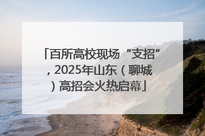 百所高校现场“支招”，2025年山东（聊城）高招会火热启幕