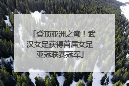 登顶亚洲之巅！武汉女足获得首届女足亚冠联赛冠军