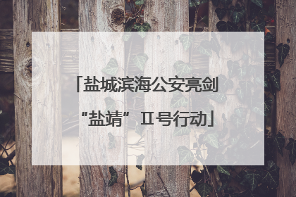 盐城滨海公安亮剑“盐靖”Ⅱ号行动
