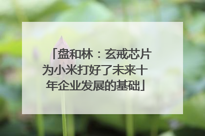 盘和林：玄戒芯片为小米打好了未来十年企业发展的基础