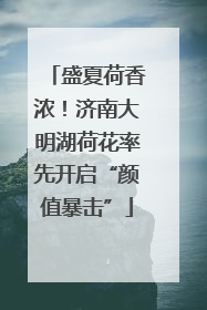 盛夏荷香浓！济南大明湖荷花率先开启“颜值暴击”
