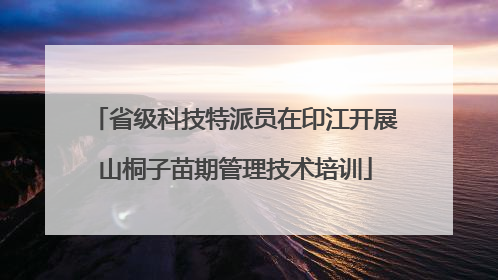 省级科技特派员在印江开展山桐子苗期管理技术培训