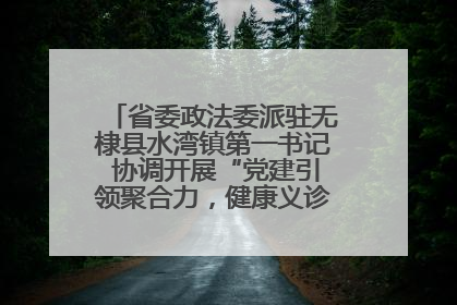 省委政法委派驻无棣县水湾镇第一书记 协调开展“党建引领聚合力，健康义诊惠乡亲”义诊活动