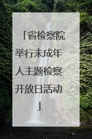 省检察院举行未成年人主题检察开放日活动