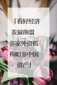 看好经济发展前景 多家外资机构唱多中国资产