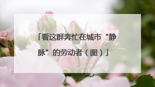 看这群奔忙在城市“静脉”的劳动者（图）