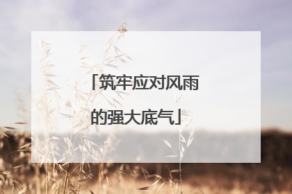 筑牢应对风雨的强大底气