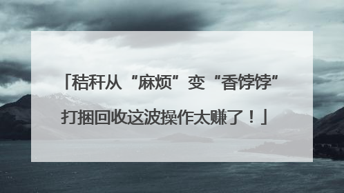 秸秆从“麻烦”变“香饽饽” 打捆回收这波操作太赚了！