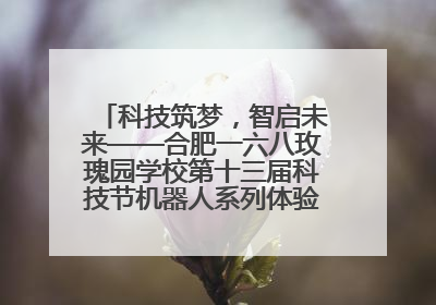 科技筑梦，智启未来——合肥一六八玫瑰园学校第十三届科技节机器人系列体验赛燃动校园
