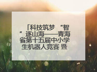 科技筑梦 “智”逐山海——青海省第十五届中小学生机器人竞赛 暨第八届创新设计大赛见闻