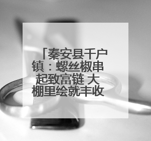 秦安县千户镇：螺丝椒串起致富链 大棚里绘就丰收图