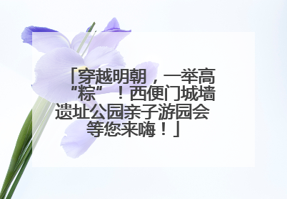 穿越明朝，一举高“粽”！西便门城墙遗址公园亲子游园会等您来嗨！