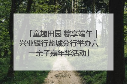 童趣田园 粽享端午｜兴业银行盐城分行举办六一亲子嘉年华活动