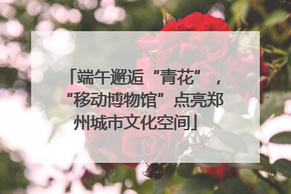端午邂逅“青花”，“移动博物馆”点亮郑州城市文化空间