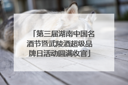第三届湖南中国名酒节暨武陵酒超级品牌日活动圆满收官