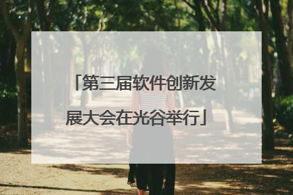 第三届软件创新发展大会在光谷举行