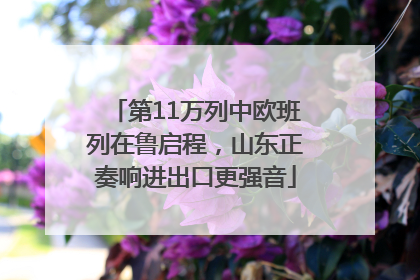 第11万列中欧班列在鲁启程，山东正奏响进出口更强音
