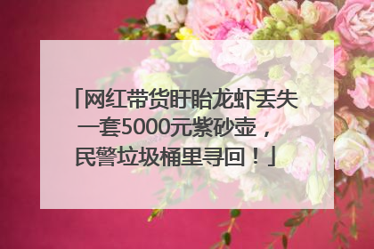 网红带货盱眙龙虾丢失一套5000元紫砂壶，民警垃圾桶里寻回！