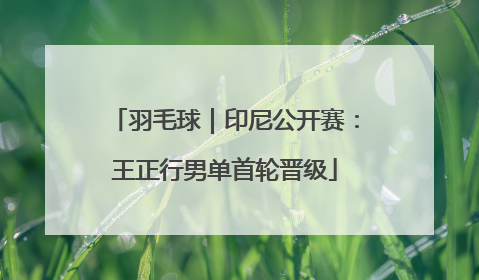 羽毛球｜印尼公开赛：王正行男单首轮晋级