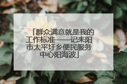 群众满意就是我的工作标准——记耒阳市太平圩乡便民服务中心阳海波