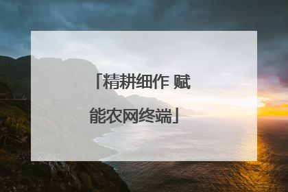 精耕细作 赋能农网终端