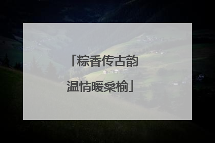 粽香传古韵 温情暖桑榆