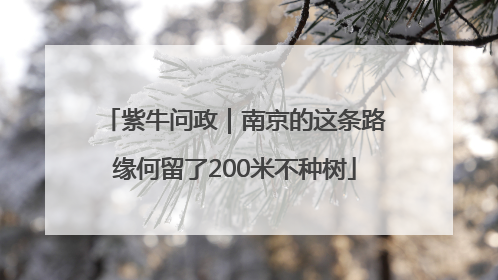 紫牛问政｜南京的这条路缘何留了200米不种树