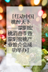 红动中国 桃醉天下——蒙阴蜜桃消费季暨蒙阴蜜桃产业推介会成功举办