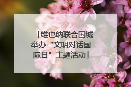 维也纳联合国城举办“文明对话国际日”主题活动