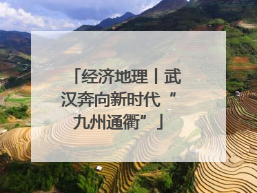 经济地理丨武汉奔向新时代“九州通衢”