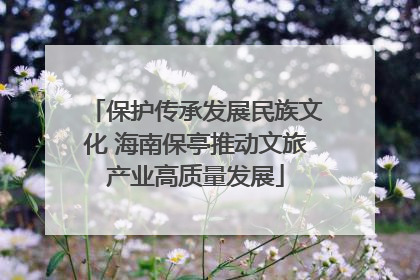 保护传承发展民族文化 海南保亭推动文旅产业高质量发展