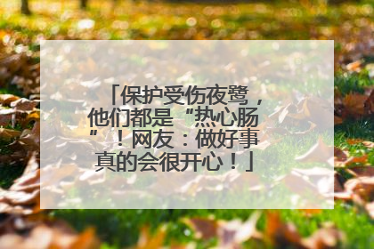 保护受伤夜鹭，他们都是“热心肠”！网友：做好事真的会很开心！