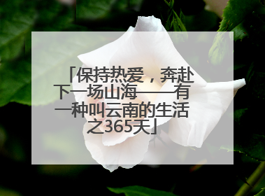 保持热爱，奔赴下一场山海——有一种叫云南的生活之365天