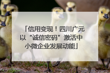 信用变现！四川广元以“诚信密码”激活中小微企业发展动能
