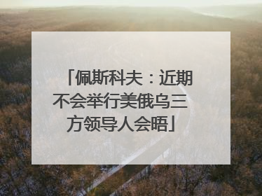 佩斯科夫：近期不会举行美俄乌三方领导人会晤