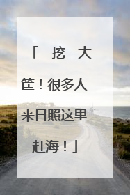 一挖一大筐！很多人来日照这里赶海！