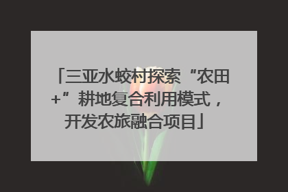 三亚水蛟村探索“农田+”耕地复合利用模式，开发农旅融合项目