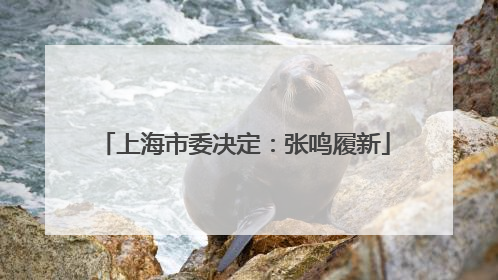 上海市委决定：张鸣履新