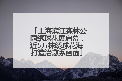 上海滨江森林公园绣球花展启幕，近5万株绣球花海打造治愈系画面
