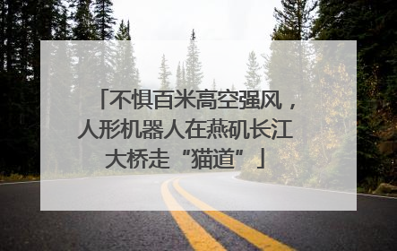不惧百米高空强风，人形机器人在燕矶长江大桥走“猫道”