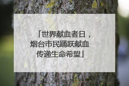 世界献血者日，烟台市民踊跃献血传递生命希望