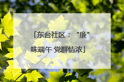 东台社区：“廉”味端午 党群情浓
