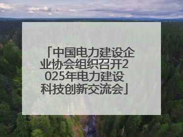 中国电力建设企业协会组织召开2025年电力建设科技创新交流会