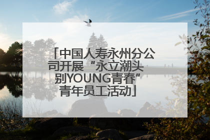 中国人寿永州分公司开展“永立潮头 别YOUNG青春”青年员工活动
