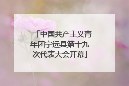 中国共产主义青年团宁远县第十九次代表大会开幕