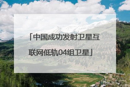 中国成功发射卫星互联网低轨04组卫星