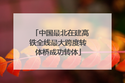 中国最北在建高铁全线最大跨度转体桥成功转体