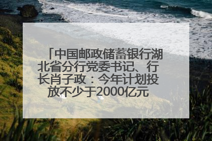 中国邮政储蓄银行湖北省分行党委书记、行长肖子政：今年计划投放不少于2000亿元支持支点建设