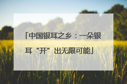 中国银耳之乡：一朵银耳“开”出无限可能