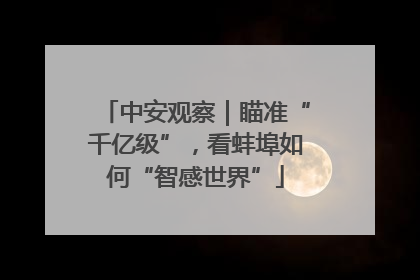 中安观察｜瞄准“千亿级”，看蚌埠如何“智感世界”